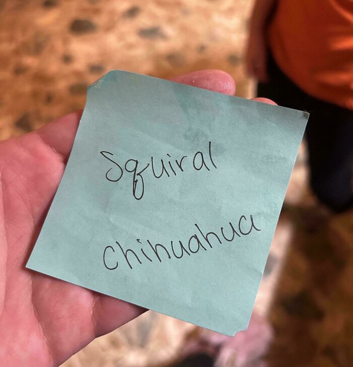 A hand holding a blue sticky note with Squiral and Chihuahua written on it, highlighting funny teachers