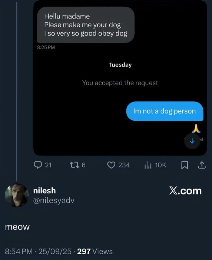Text exchange showing a message asking to be made a dog and a reply stating not a dog person