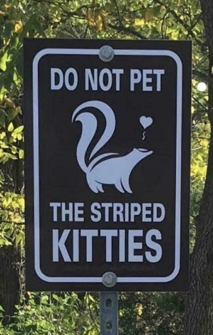Funny sign warning not to pet the striped kitties with skunk illustration