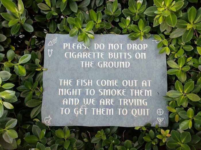 Hilarious sign asking not to drop cigarette butts, fish come out to smoke at night to quit