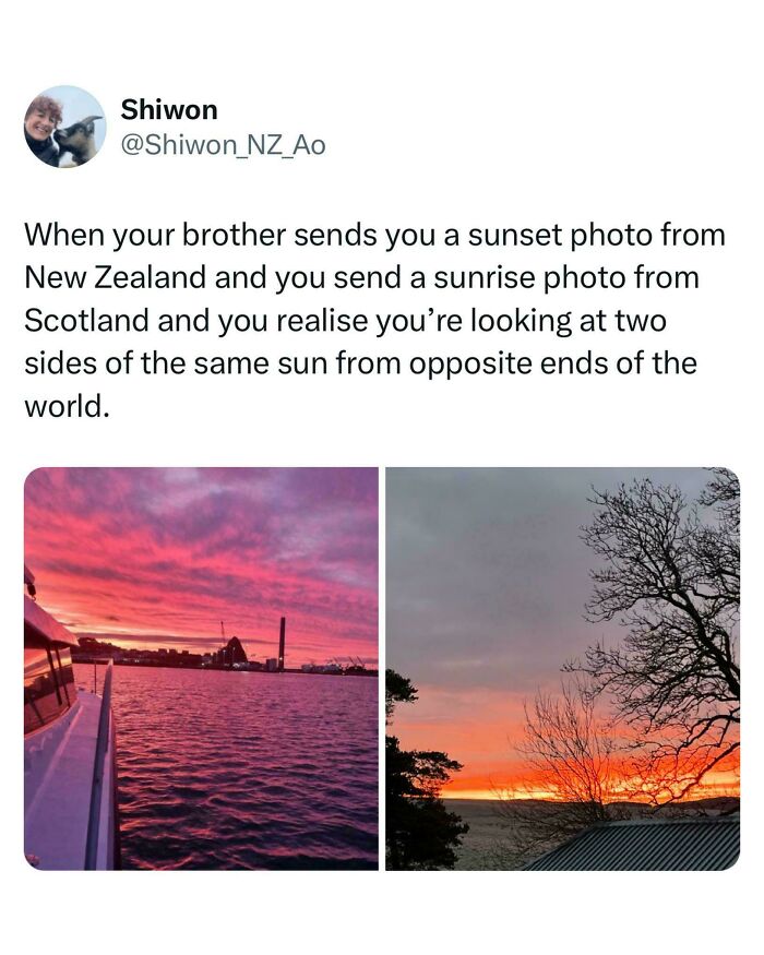 A heartwarming tweet comparing a New Zealand sunset and a Scottish sunrise, shared in British memes circles