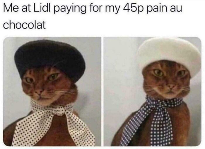 Funny cat wearing a beret and scarf, capturing the humor of relatable British memes about shopping.
