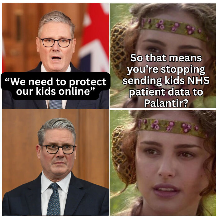 A political meme about protecting kids online and NHS data, from relatable British memes