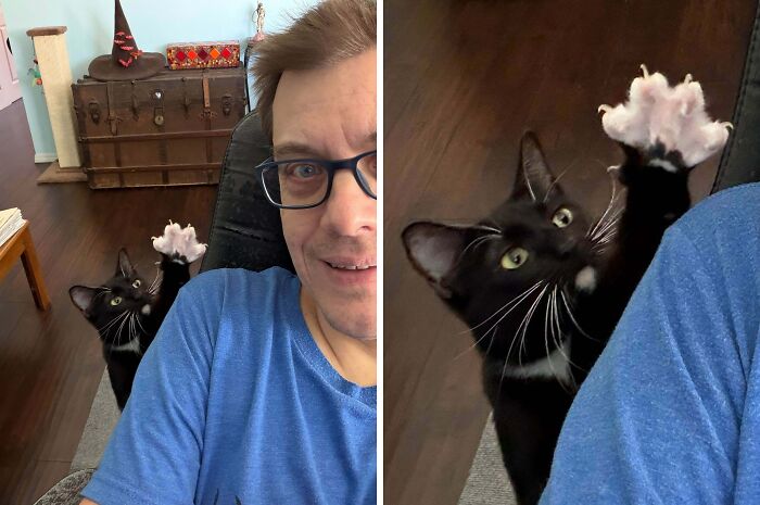 A black cat reaches its paw up with sharp claws, showing cat claw pictures next to its owner.