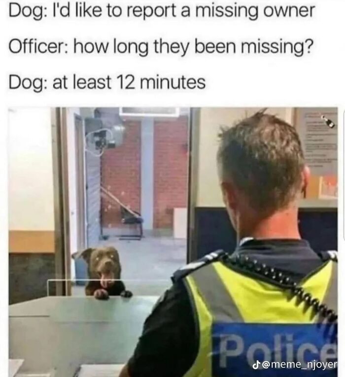 A brown dog at a police reception desk, showcasing funny dog memes about missing owners