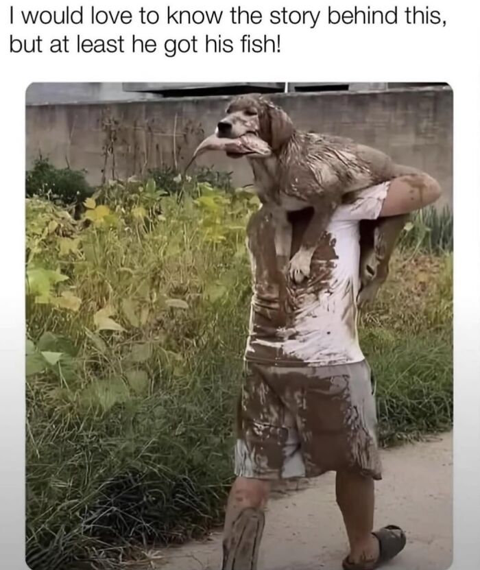 Dog memes of a muddy pup being carried after catching a fish