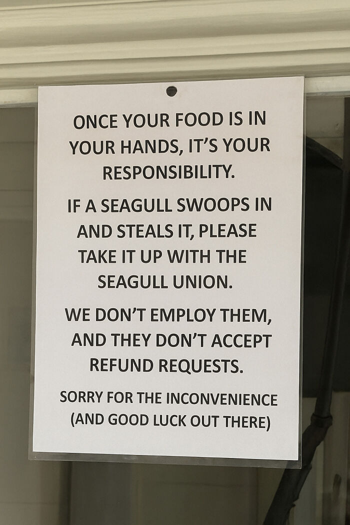 Funny food responsibility sign warning customers about seagull thefts and no refunds
