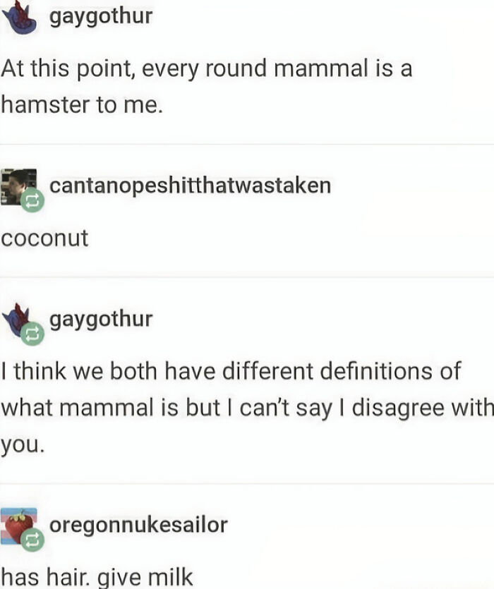 Tumblr text conversation about mammals and coconuts, showing chaotic posts.