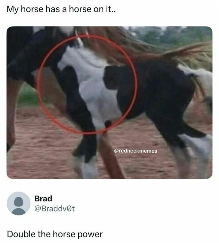 Hilarious-Redneck-Memes