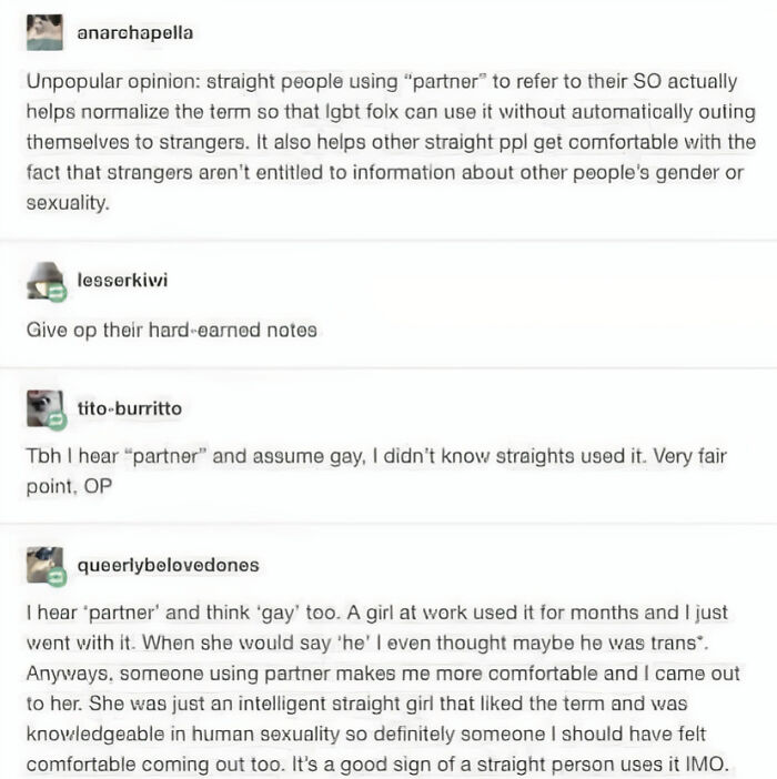 A Tumblr post discussing the use of the term partner, showcasing classic Tumblr posts.