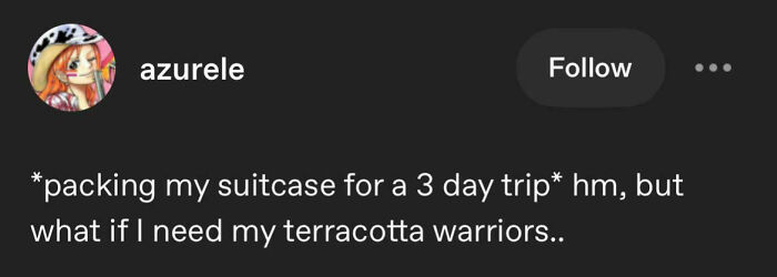 A text post about overpacking terracotta warriors for a short trip, illustrating funny Tumblr posts.