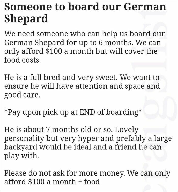 A text post by choosing beggars looking for cheap long-term dog boarding