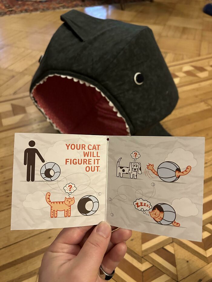 Cat toy instructions showing cartoon cat figuring it out with a shark-shaped cat bed in background