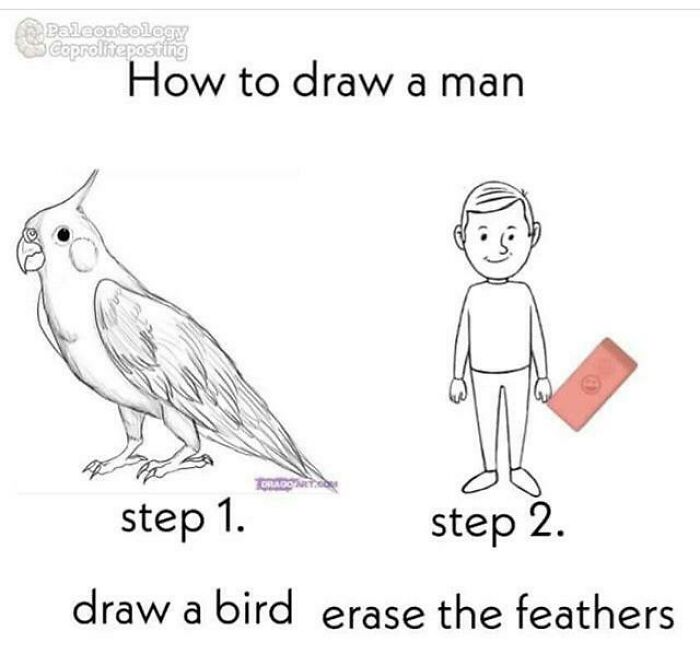 Humorous drawing tutorial showing how to draw a man by erasing bird feathers