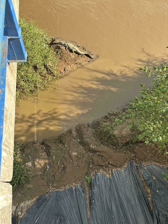 Find Both Crocs