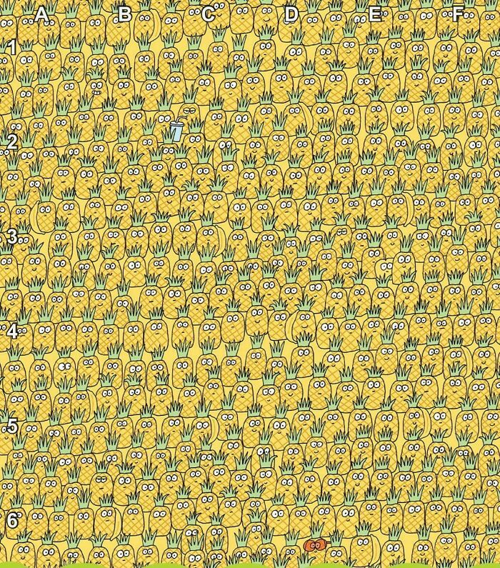 Find The Apple