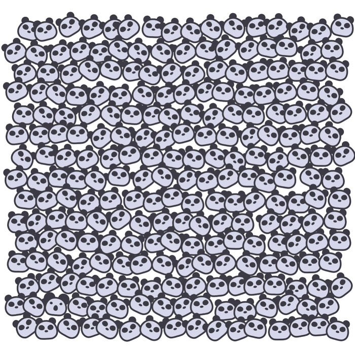 Find The Koala