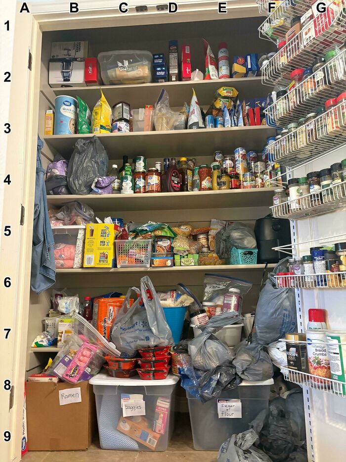 Find The Cat