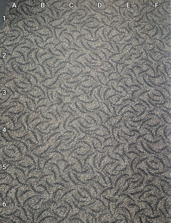 Find The Star Magnet