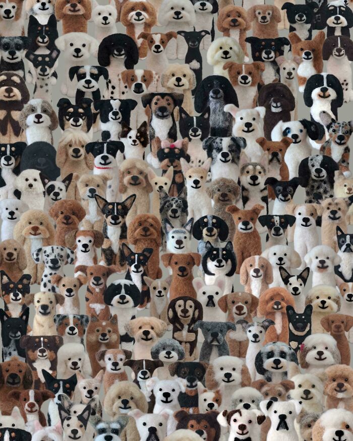 Find The Real Dog Hiding With My Felt Dogs!