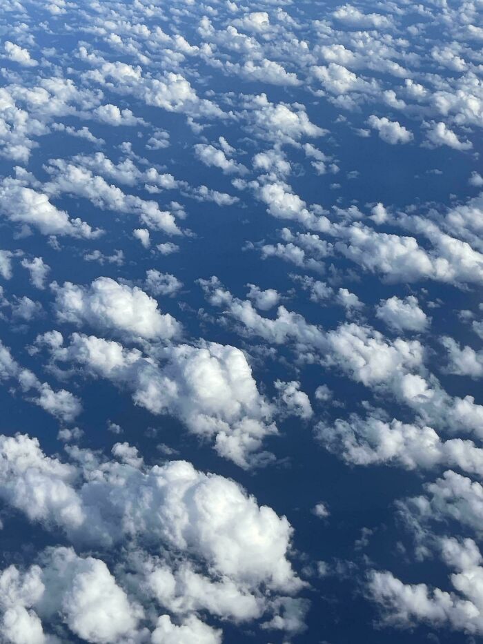 Find The Cruise Ship