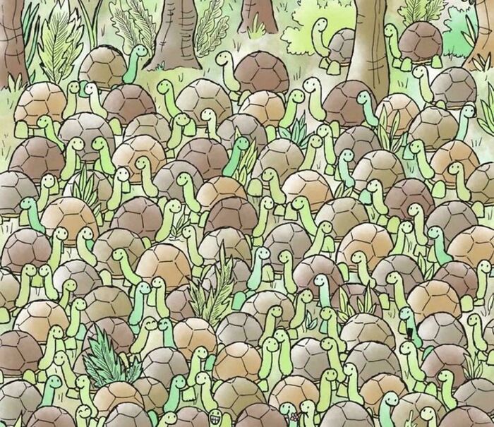 Spot The Snake In This Sneaky