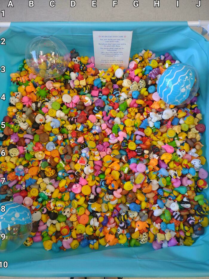 Find The Giraffe ( Not A Rubber Duck Giraffe! )