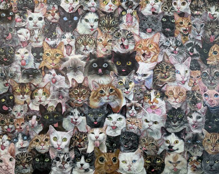 Find The Imposter And The Amphibian Among The Silly Cats