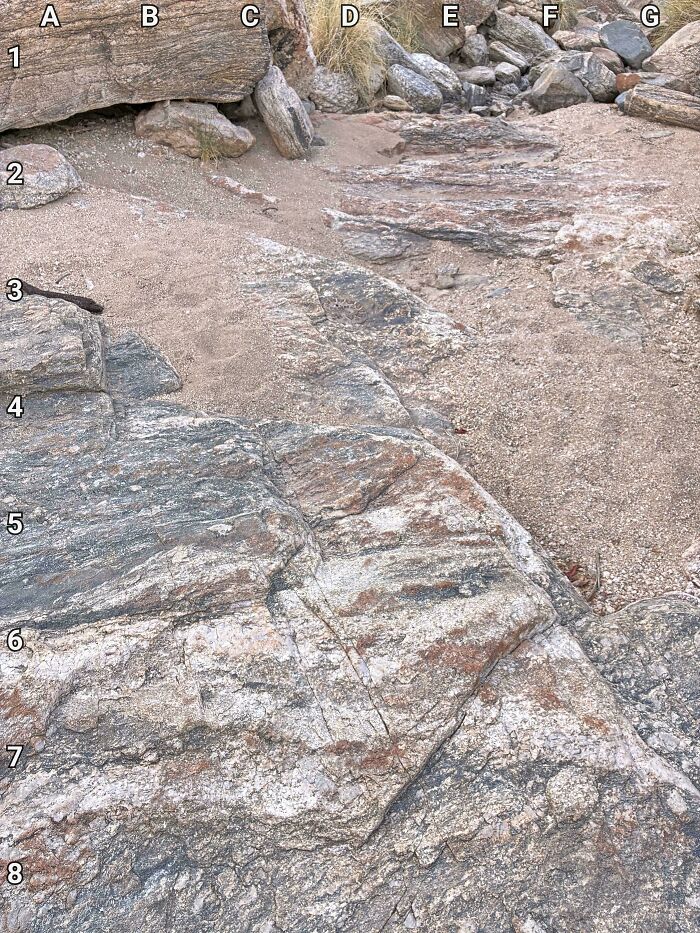 Find The Snake