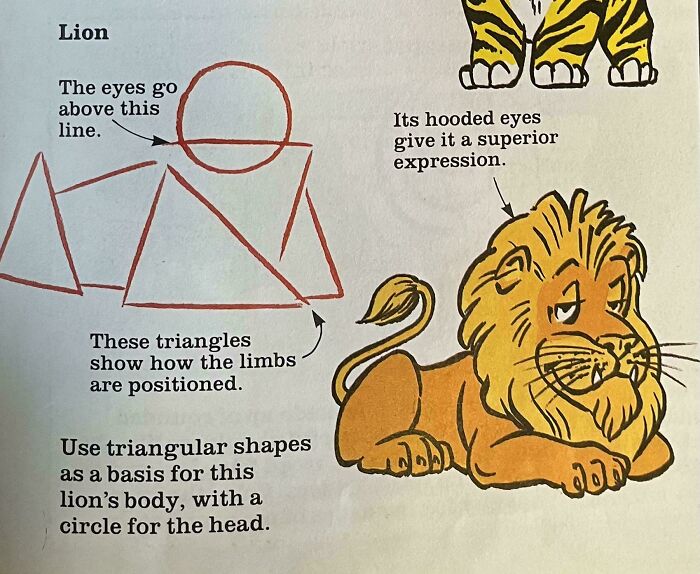 Drawing instructions for a lion using triangular shapes and circle for the head