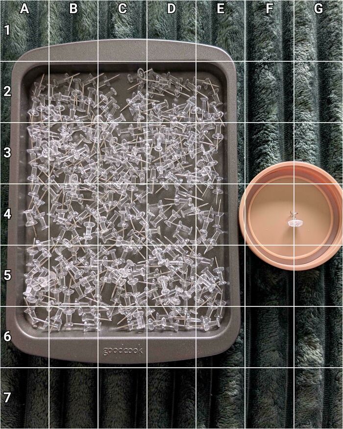 Find The Spiral Push Pin