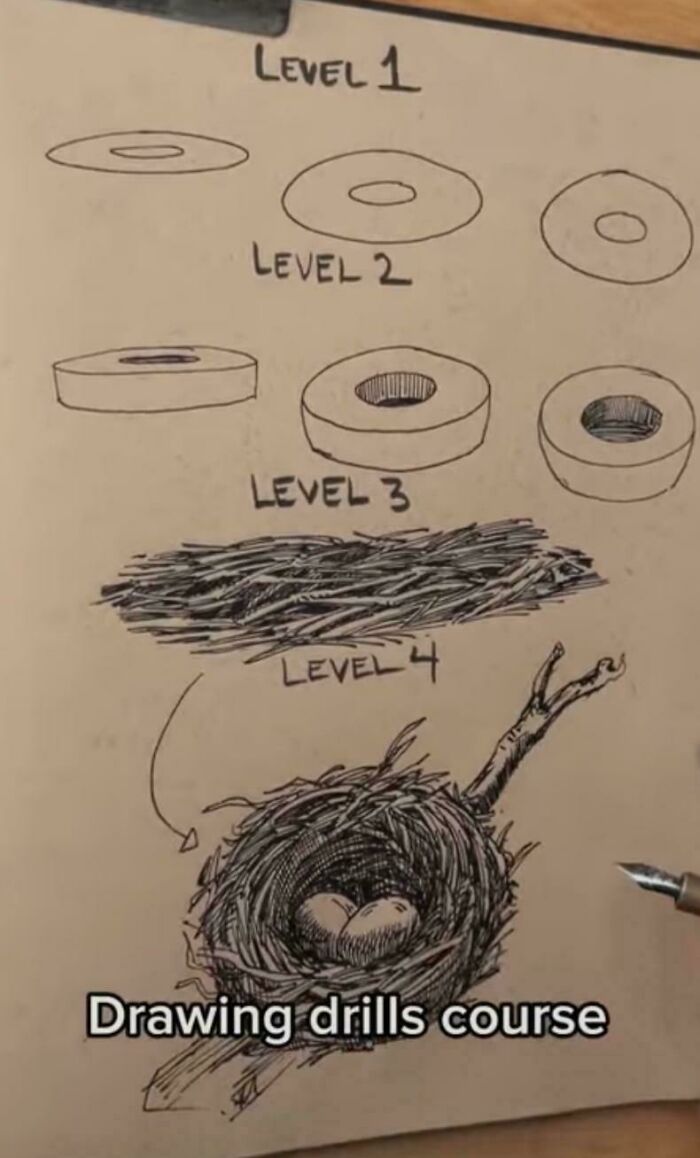 Step-by-step drawing drills course illustrating levels from simple shapes to detailed bird nest sketch