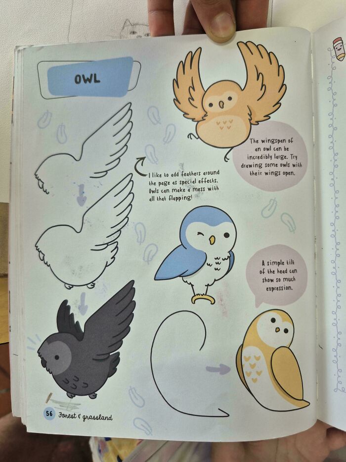 Owl drawing tutorial page with cartoon owl illustrations and drawing tips
