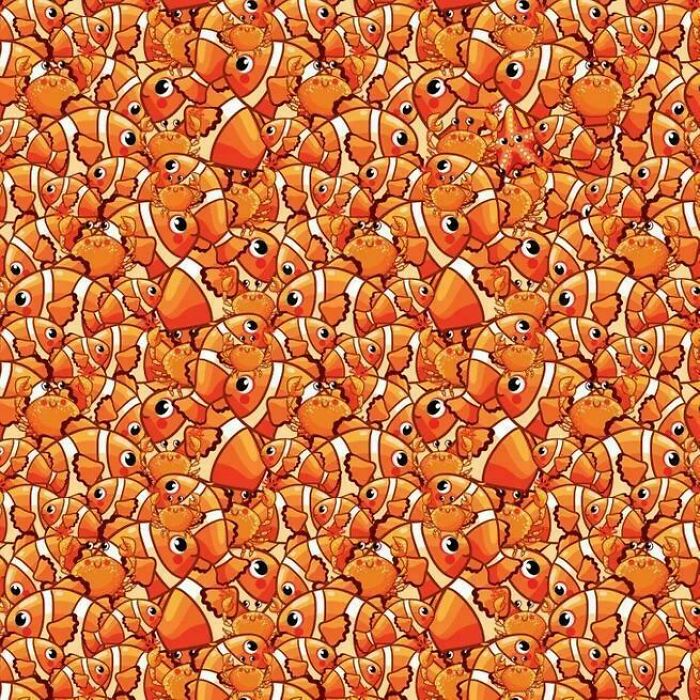 Only 1% With Shark Eyes Can Spot The Starfish In 5 Seconds!