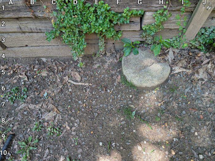 Find The Little Copperhead!