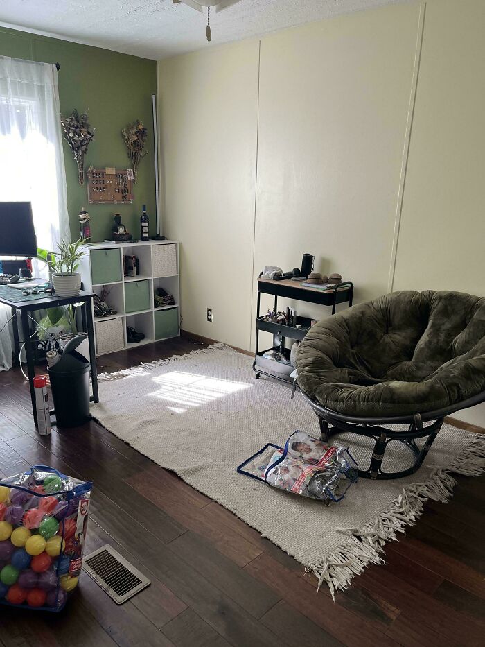 Find My Cat
