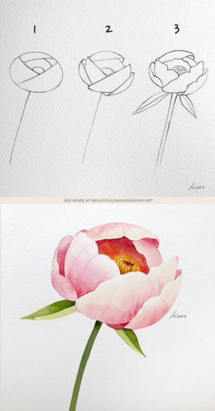 Step by step flower drawing tutorial showing simple sketch and final colored blossom