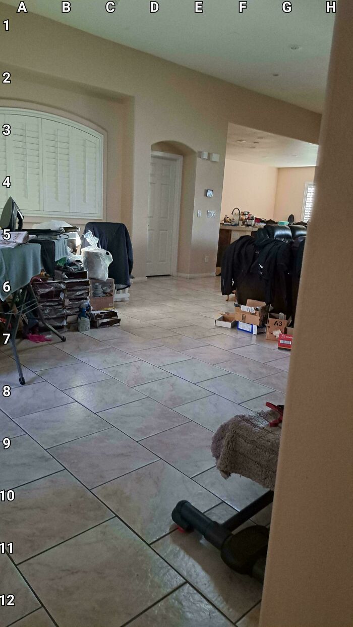 Find The Dog