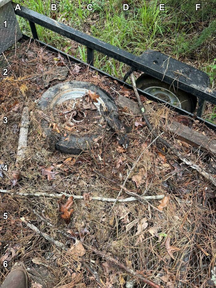 Find The Copperhead