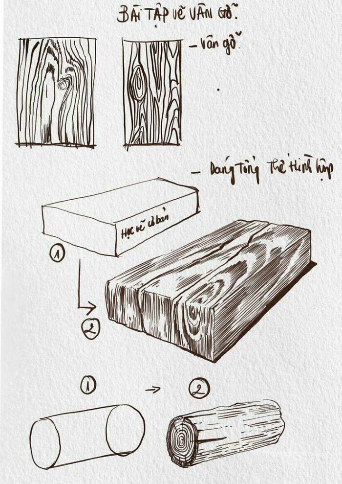 Hand-drawn wood texture and log sketch tutorial with annotations