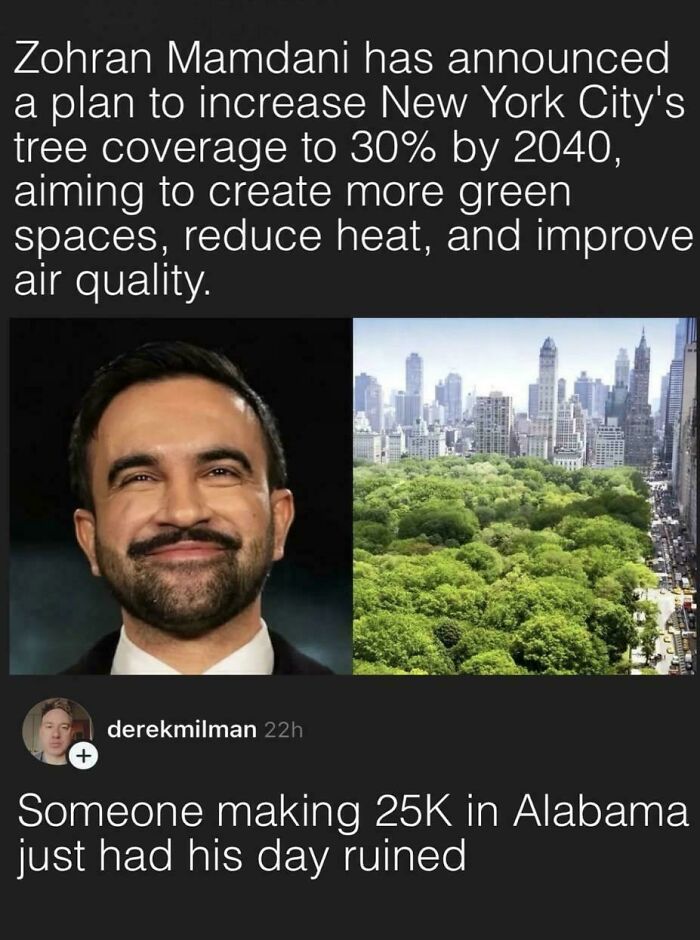 Zohran Mamdani announces NYC tree coverage plan to improve environment and air quality