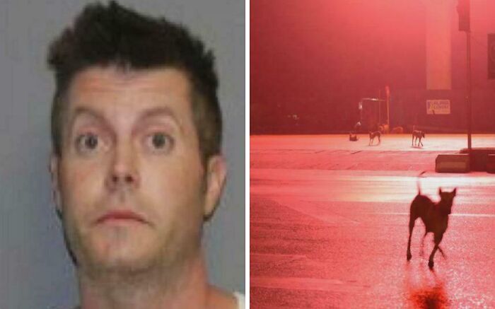 Man mugshot with nighttime dogs under red light morbid curiosity