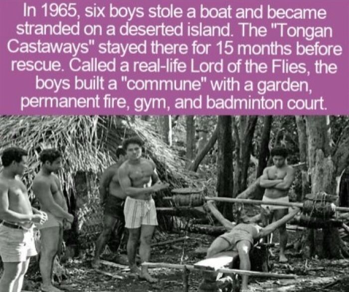 Six shipwrecked boys building a community, an example of interesting facts.