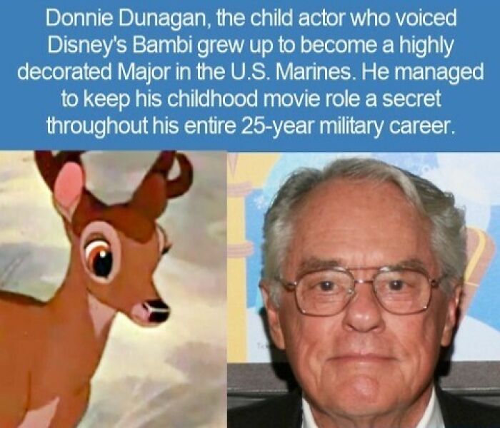Interesting facts about Donnie Dunagan, the voice of Disney's Bambi who became a Marine