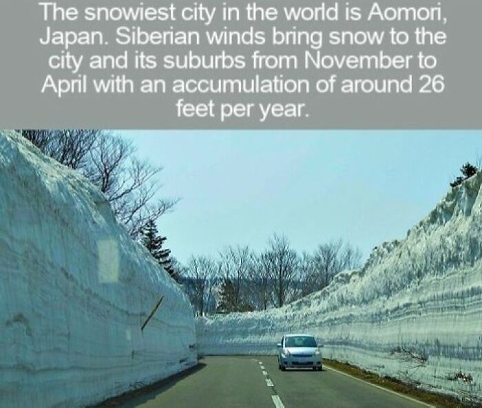 A car driving through high snow walls in Aomori Japan, featuring interesting facts about snowfall