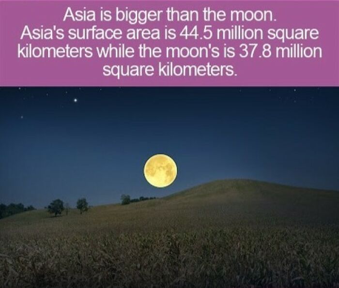 Interesting facts about Asia and the moon with a night sky showing a full yellow moon over a grassy hill