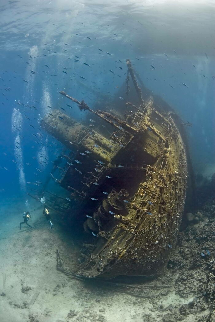 Scuba divers exploring a massive sunken shipwreck discovered at the bottom of the ocean.