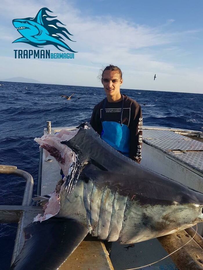 A fisherman holding a massive shark bitten in half, showing things discovered at the bottom of the ocean.
