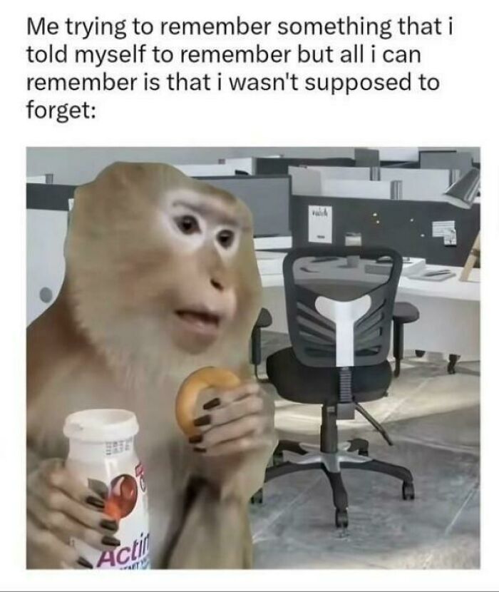Funny ADHD memes showing a confused monkey in an office trying to remember something.