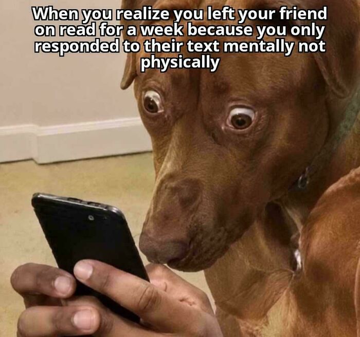 A wide-eyed dog staring at a phone, illustrating funny ADHD memes about forgetting to reply to texts.